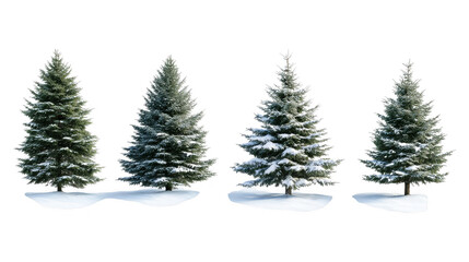 Fototapeta premium [Christmas tree digital illustration] Minimalist Christmas Evergreen Tree Flat Background Illustration