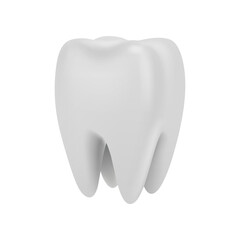 Dental model of premolar or molar tooth with healthy enamel and root, 3d rendering. Vector endodontist health and professional oral hygiene, healthcare and medicine. Dentistry clinic advertisement