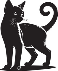 black cat silhouette