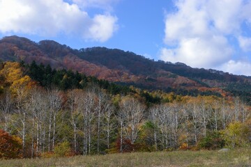 北海道の秋の風景