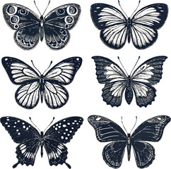 Butterfly Silhouette Vector