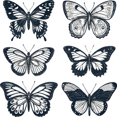 Butterfly Silhouette Vector