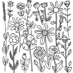Black and white thread sketches of All kinds of little daisies and flowers and grasses, Generative ai
