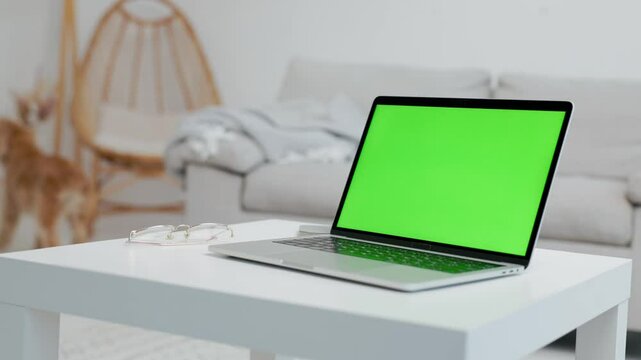 Laptop With Green Mock Up Screen On Table In Living Room Where Dog Walks