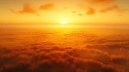Obraz premium Golden sunset over misty field.