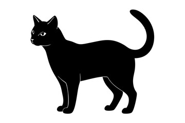 black cat silhouette