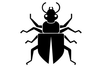 black and white beetle