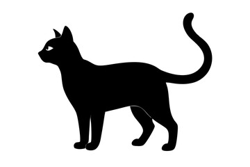black cat silhouette