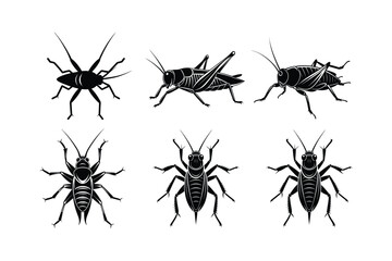 Cricket (Gryllidae) insect silhouette design, labeled linocut vector illustration.