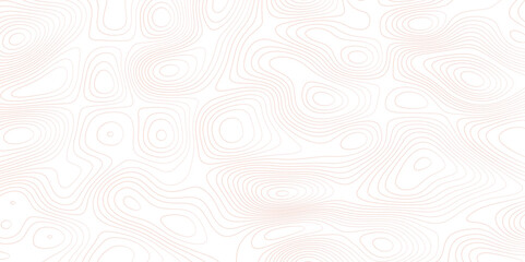 Abstract topographic map background. Topographic map lines contour background. 
