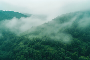 Fototapeta premium Verdant hills blanketed in soft mist create a serene and mysterious atmosphere, with layers of greenery fading into the ethereal fog.