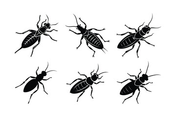 Termite (Isoptera) insect silhouette design, labeled linocut vector illustration.
