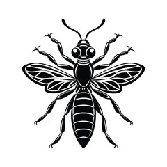 Termite (Isoptera) insect silhouette design, labeled linocut vector illustration.
