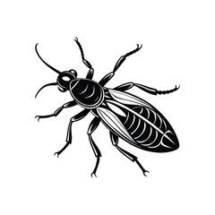 Termite (Isoptera) insect silhouette design, labeled linocut vector illustration.