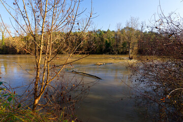 Fototapeta premium Loing river bank in the Sorques plain sensitive natural area