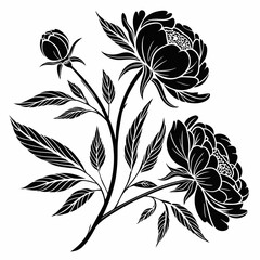 Blooming peony flower silhouette vector illustration  © Sumondesigner_42