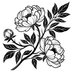 Blooming peony flower silhouette vector illustration  © Sumondesigner_42