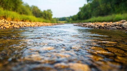 Fototapeta premium Serene Riverbank Scene with Clear Water and Lush Greenery