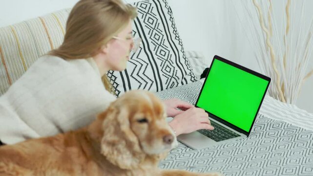 Young Woman Using Green Screen Laptop While Lying at Home on Couch with Her Pet Dog English Cocker Spaniel. Close up Laptop with Green Mock-up Screen