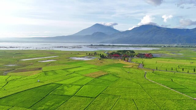 Vibrant Indonesia fields and Rawa Pening lake, aerial view