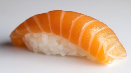 A Single Piece of Delicious Salmon Nigiri Sushi