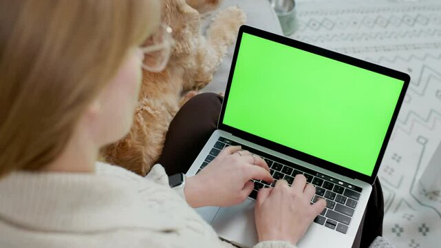 Young Woman Using Green Screen Laptop While Sitting at Home on Couch with Her Pet Dog English Cocker Spaniel. Close up Laptop with Green Mock-up Screen