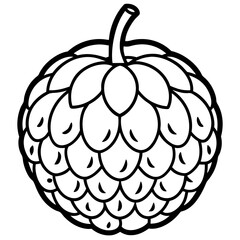 Minimalist Custard Apple Line Art Vector