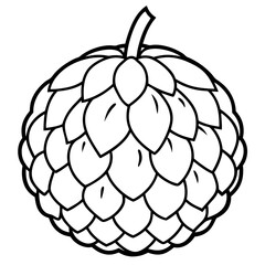 Minimalist Custard Apple Line Art Vector
