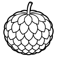 Minimalist Custard Apple Line Art Vector