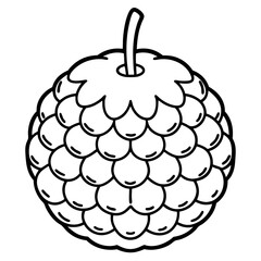 Minimalist Custard Apple Line Art Vector