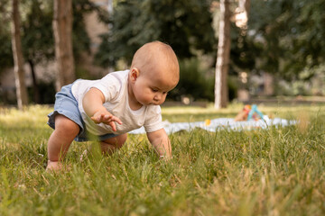 Adorable Baby crawling in the grass. Newborn discovering nature by going through the park. Outdoor...