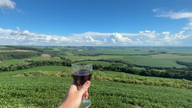 brinde com ta&ccedil;a de vinho em area rural 