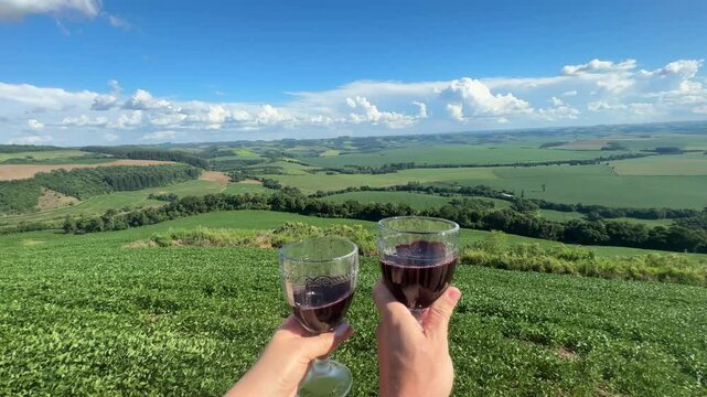 brinde com ta&ccedil;as de vinho em area rural 
