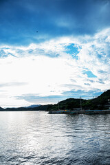 바다 자연 산 나무