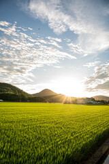 자연 들 농사 자연의 교감