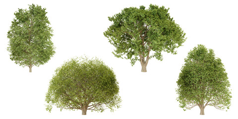 Aerial View of Four Green Trees isolated 