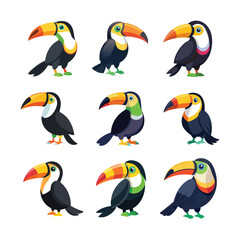 Set of Toucan Bird vector, vector and illustration, vector style