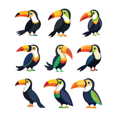 Set of Toucan Bird vector, vector and illustration, vector style