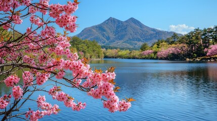 Scenic lake view with cherry blossoms and mountains.