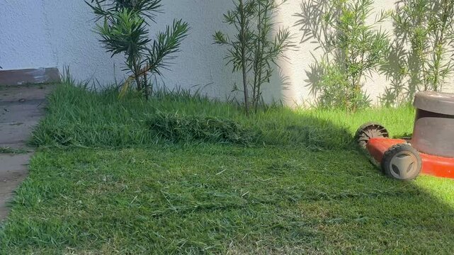cortando a grama com maquina 