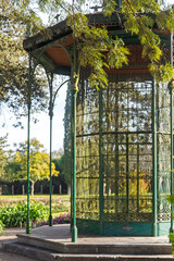 autumn park in the park