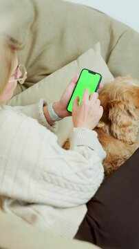 Young Woman Using Green Mock Up Screen Smartphone While Sitting With Her Pet Dog In Cozy Home Room. Vertical Video