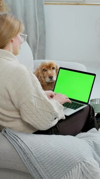 Young Woman Using Green Screen Laptop While Sitting at Home on Couch with Her Pet Dog English Cocker Spaniel. Close up Laptop with Green Mock-up Screen