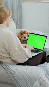 Young Woman Using Green Screen Laptop While Sitting at Home on Couch with Her Pet Dog English Cocker Spaniel. Close up Laptop with Green Mock-up Screen