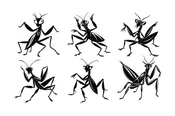 Praying Mantis (Mantodea) insect silhouette design, labeled linocut vector illustration.