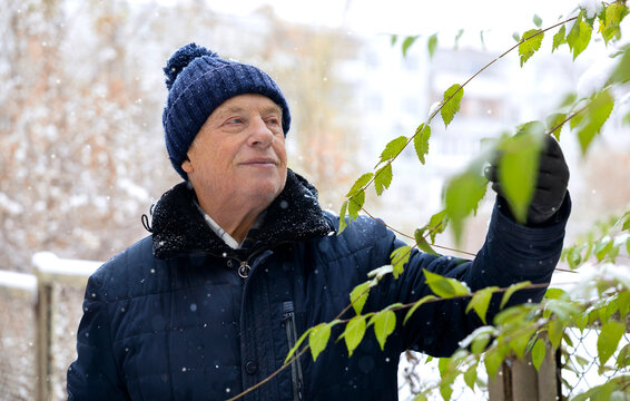 Smiling senior man touching green leaves in winter