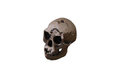 skull with hole in the head without bottom 
