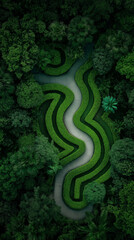 Obraz premium Lucid labyrinth aus Gras inmitten eines dichten Waldes