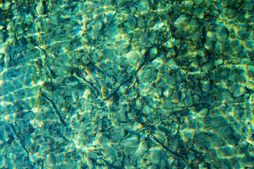 le fond du lac Léman, plein cadre