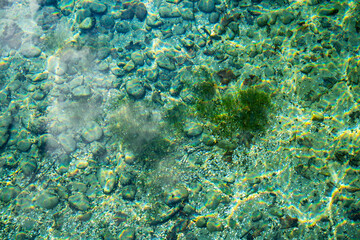 le fond du lac Léman, plein cadre